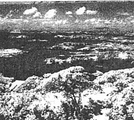 drkigai film R1 use.jpg