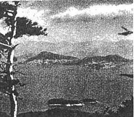 kenko-ya3 use.jpg