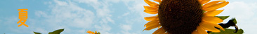 夏