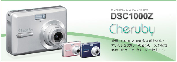 DSC1000Z