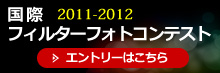 国際フィルターフォトコンテスト2011-2012