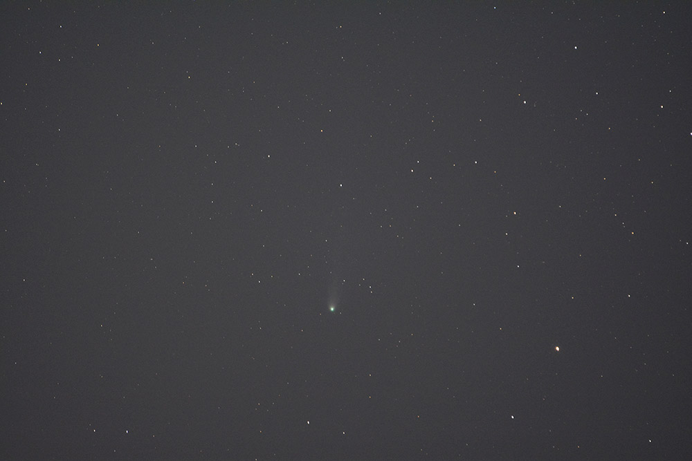 ネオワイズ彗星(C/2020 F8)