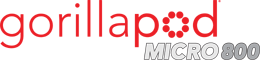gp20-logo.gif