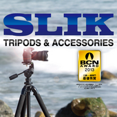SLIK