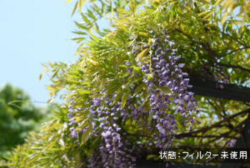 使用前