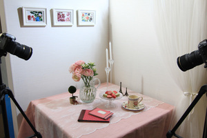 cp2012-2.jpg