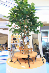 cp2012-7.jpg
