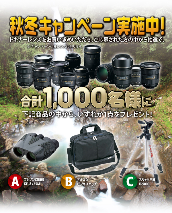 tokina_campaign_2011fall.jpg