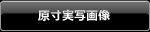 �������ʉ摜