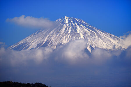 AT-X 70-200mm F4 PRO FX VCM-S作例画像