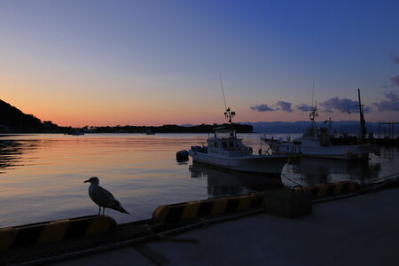 opera 16-28mm F2.8 FF作例画像