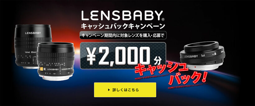 lensbabycampaign2019_cash.jpg