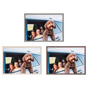 人気のミュートカラーを採用した木目調アルミフレーム「アミネオ・グランデ」発売