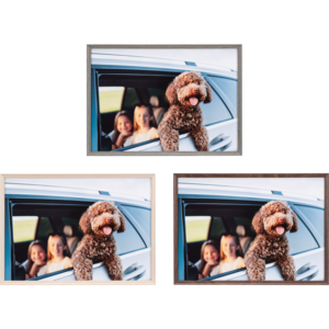 アミネオ・グランデの製品画像