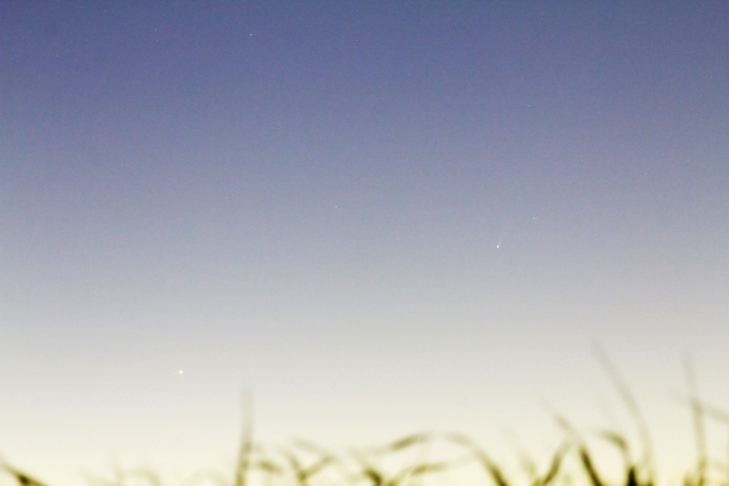 20131222_ison.jpg