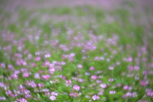 DSC_7702.jpg