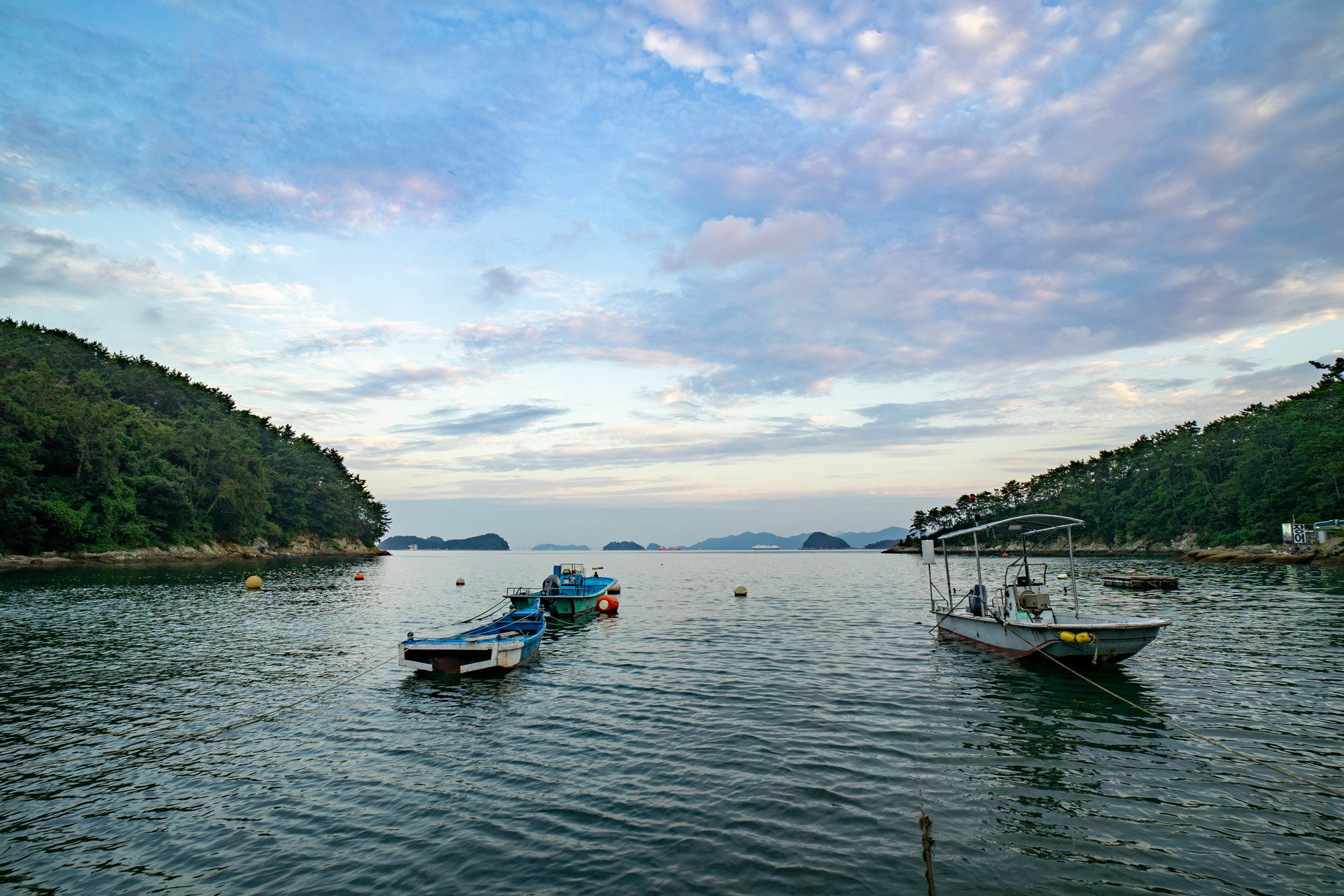 AF 18mm F2.8 FE | SAMYANG | ケンコー・トキナー
