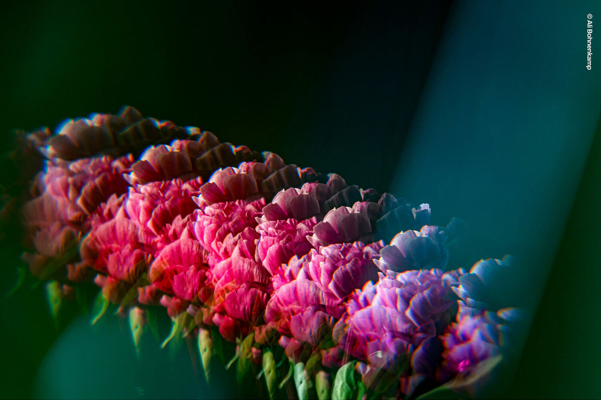 crystal2_sample02.jpg