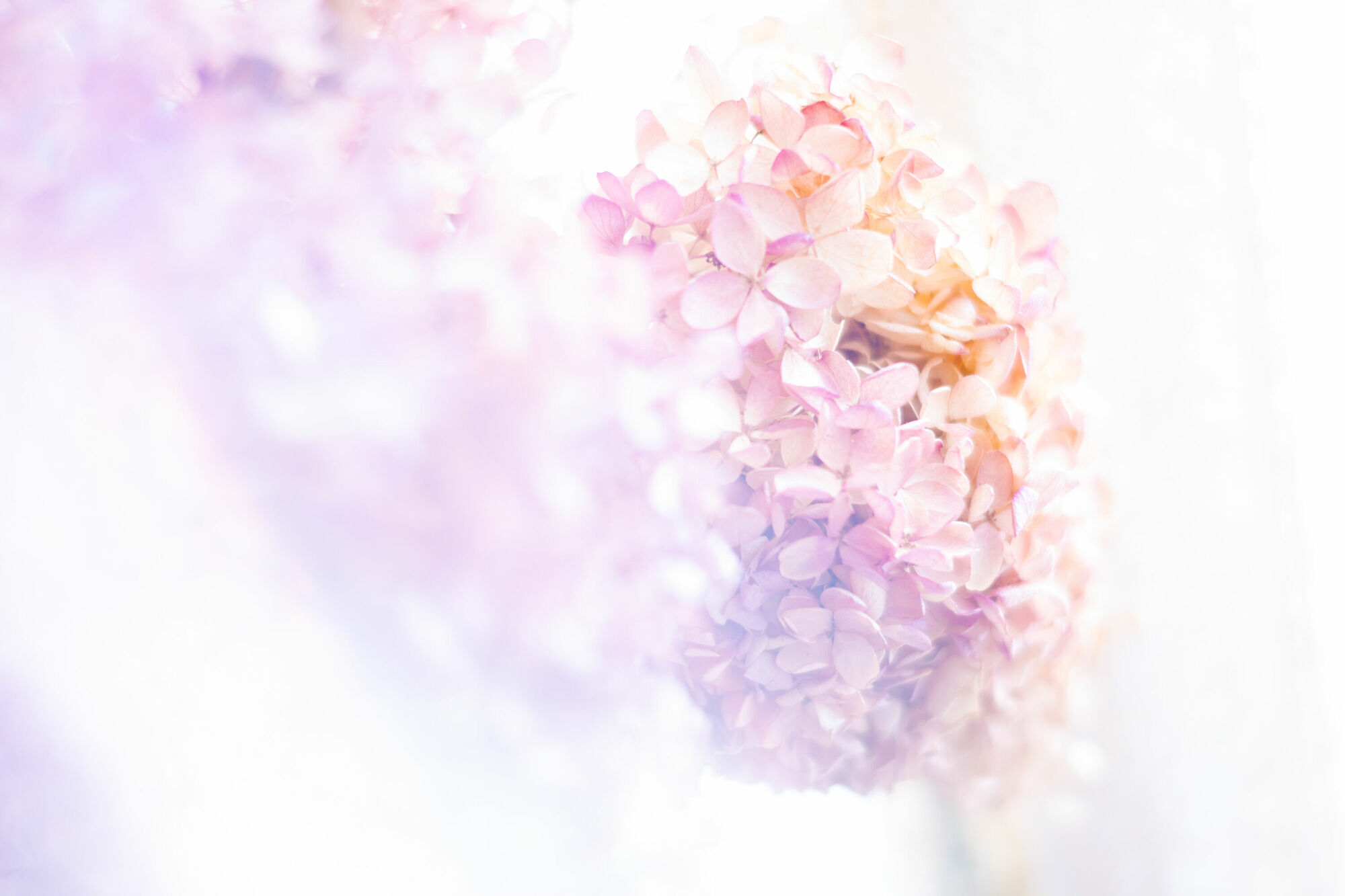 crystal2_sample03.jpg