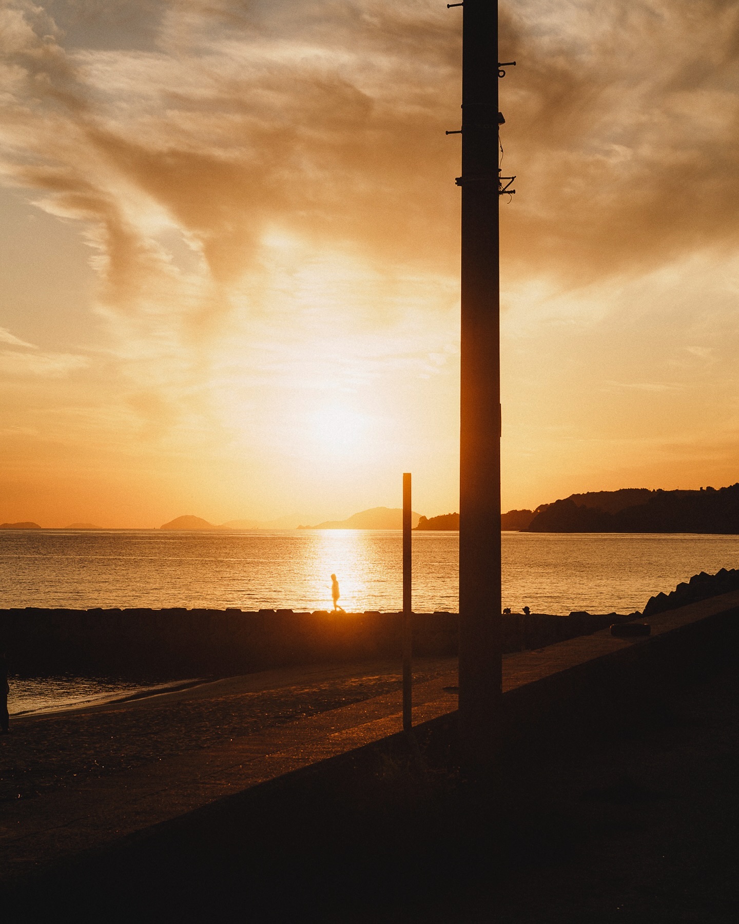 dfg_mgk Kenkoブラックミストプロテクター使用画像