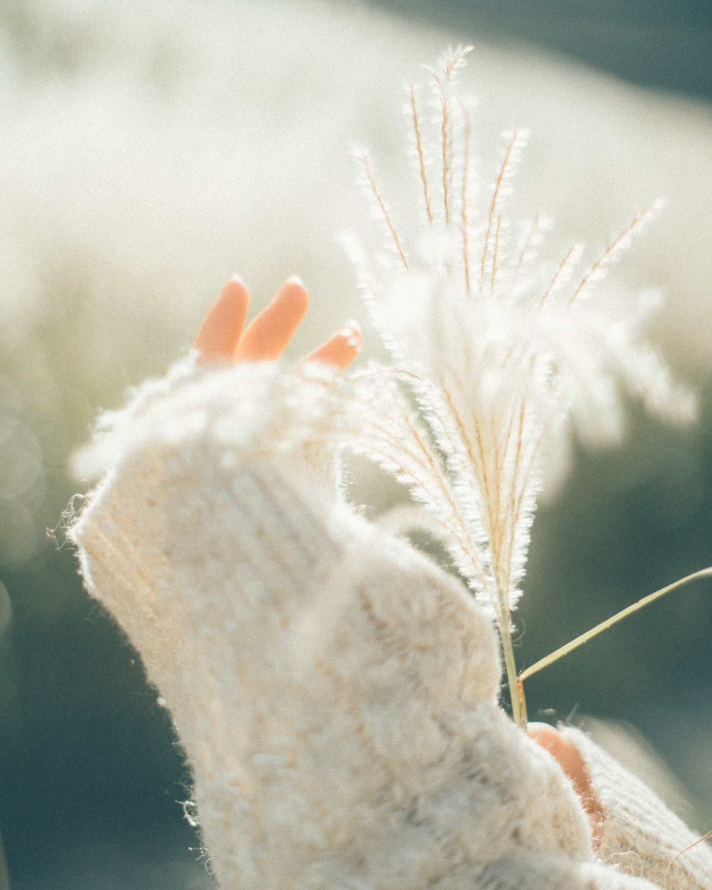 jl.filmic KenkoブラックミストNo.05使用画像