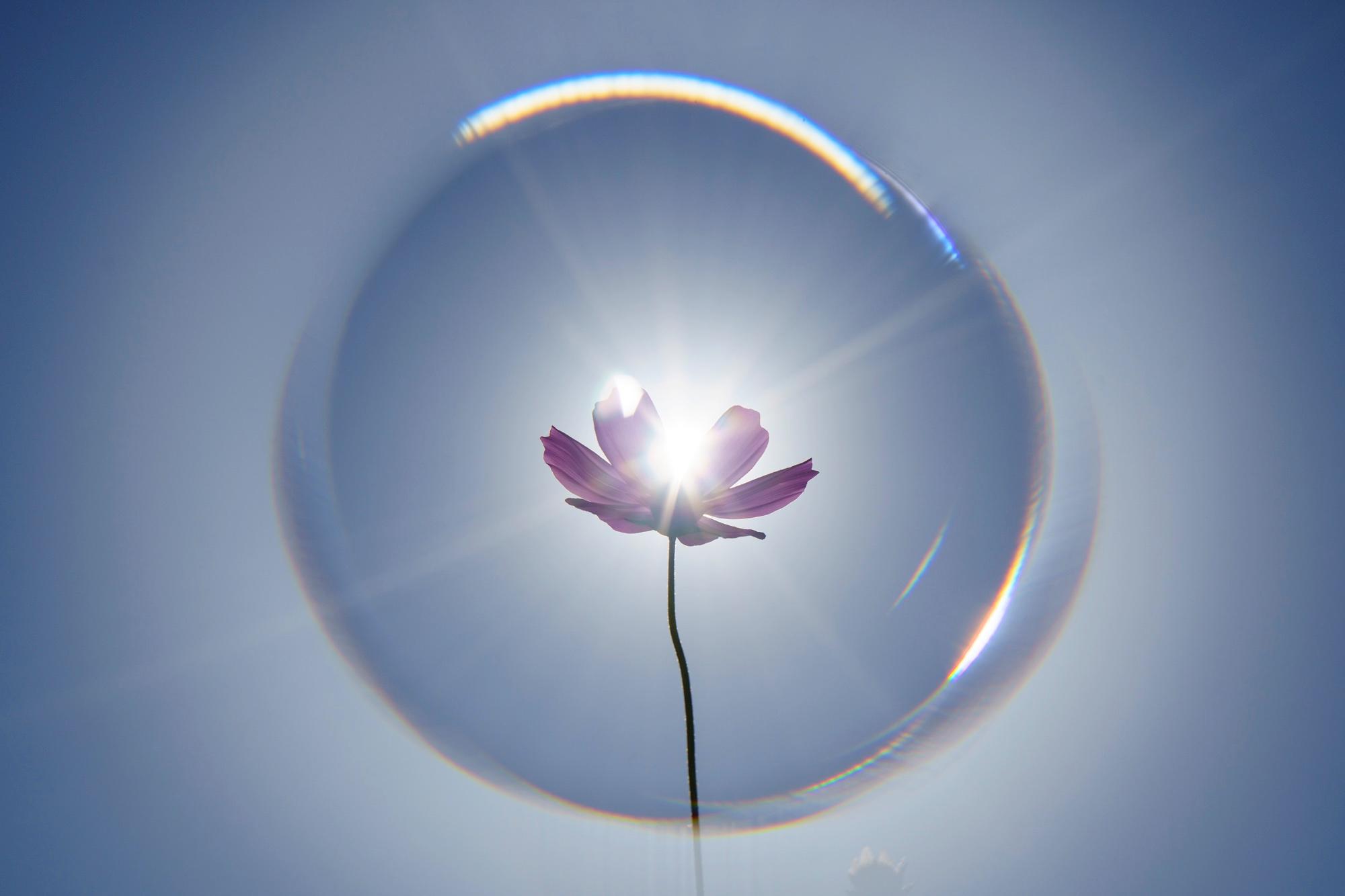 Kenko Filters Photography Awardsイメージ5