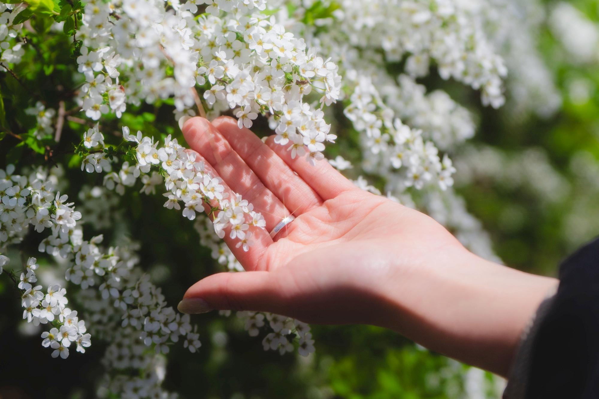 Kenko Filters Photography Awardsイメージ6