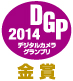 dgp2014_gold.jpg