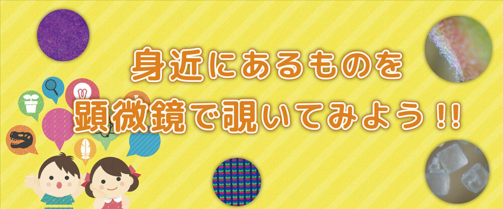 身近にあるものを顕微鏡で覗いてみよう！