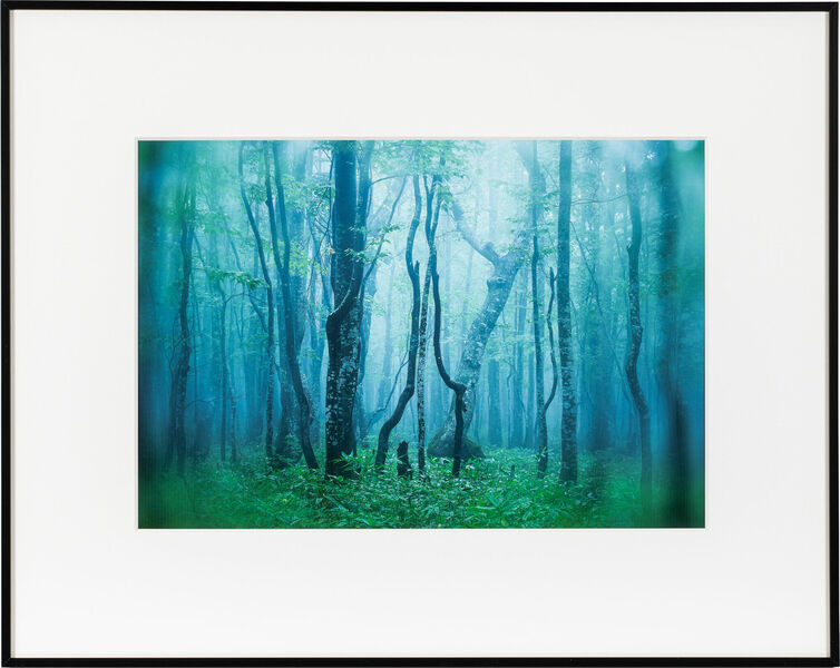 ブラック / ホワイト