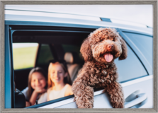 アミネオ・グランデ