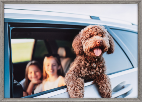 アミネオ・グランデ