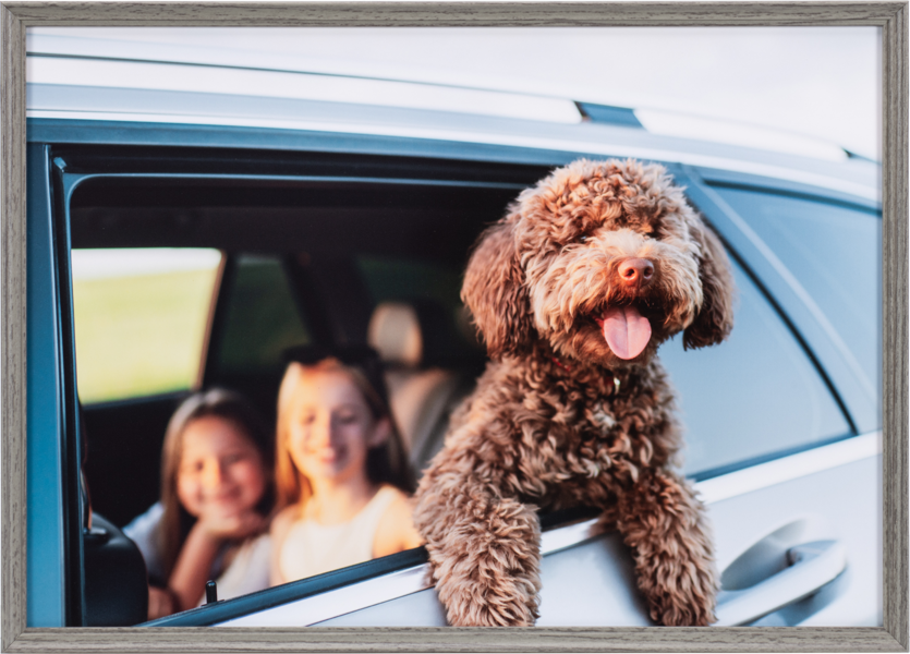 <strong>グレー</strong>