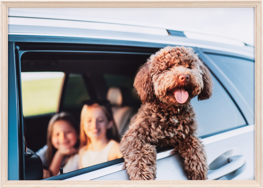 <strong>ナチュラル</strong>