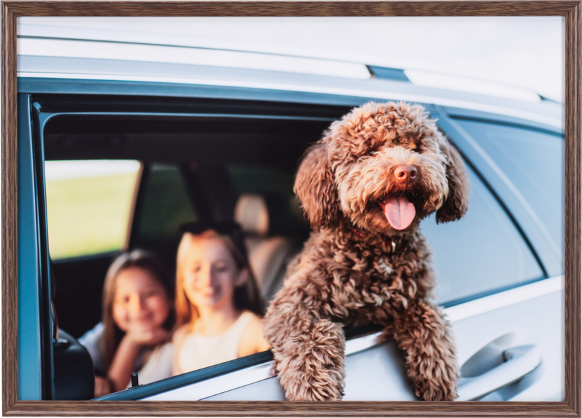 <strong>ブラウン</strong>