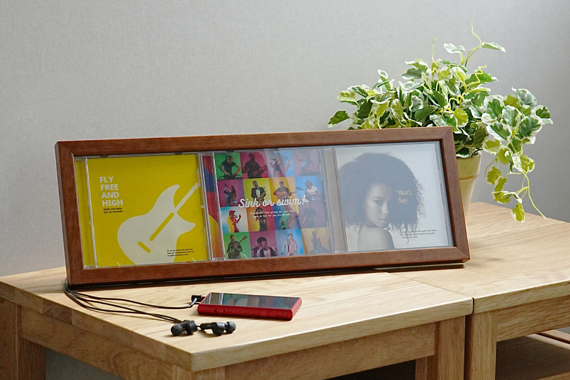 CDディスプレイフレーム（CDケース3枚タイプ） ケンコー・トキナー