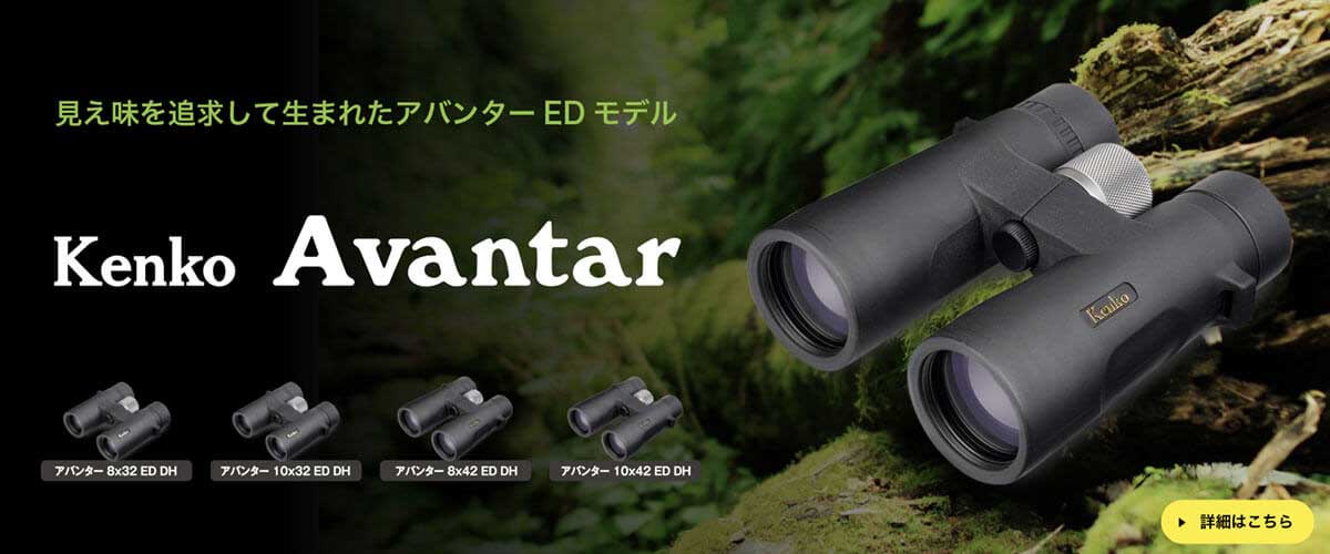 経典 双眼鏡Avantar アバンターED 8×32 ED DH ケンコー agapeeurope.org