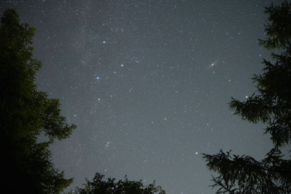 Anti-Fog プロソフトンクリア使用