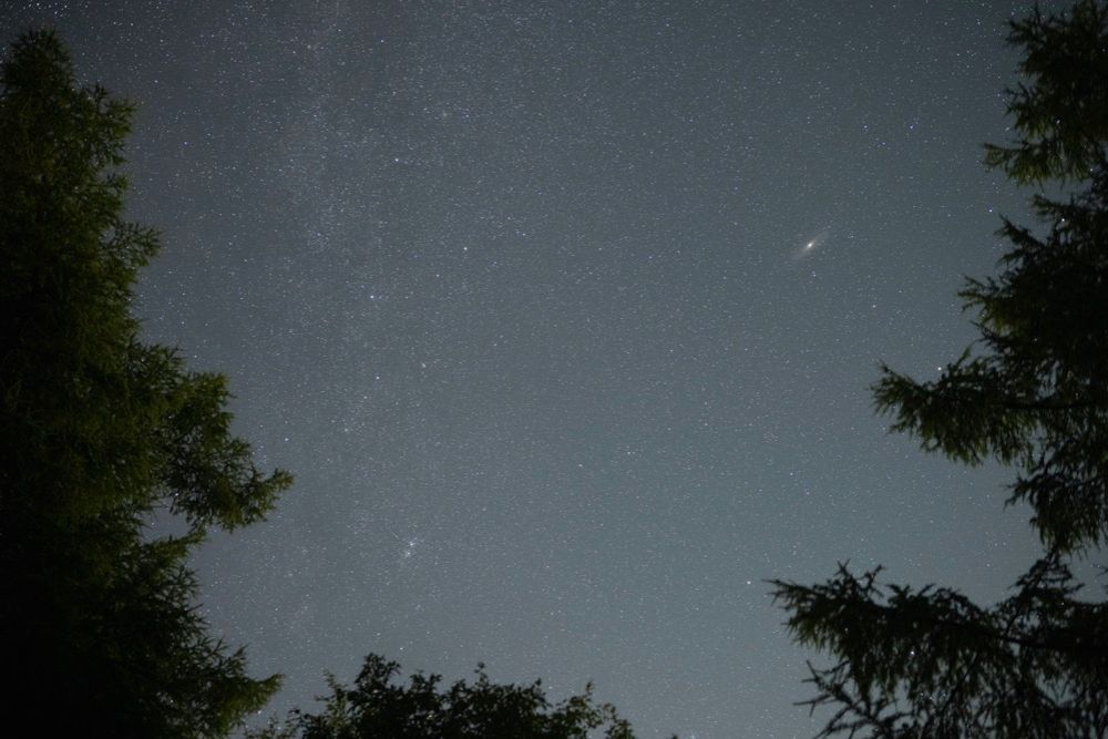 フィルターなし