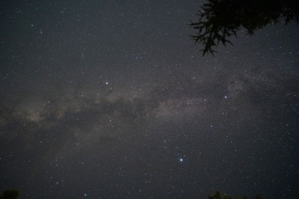 Anti-Fog プロソフトンクリア使用