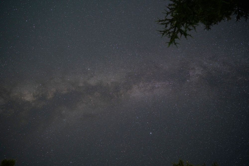 フィルターなし