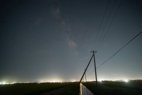 フィルターなし