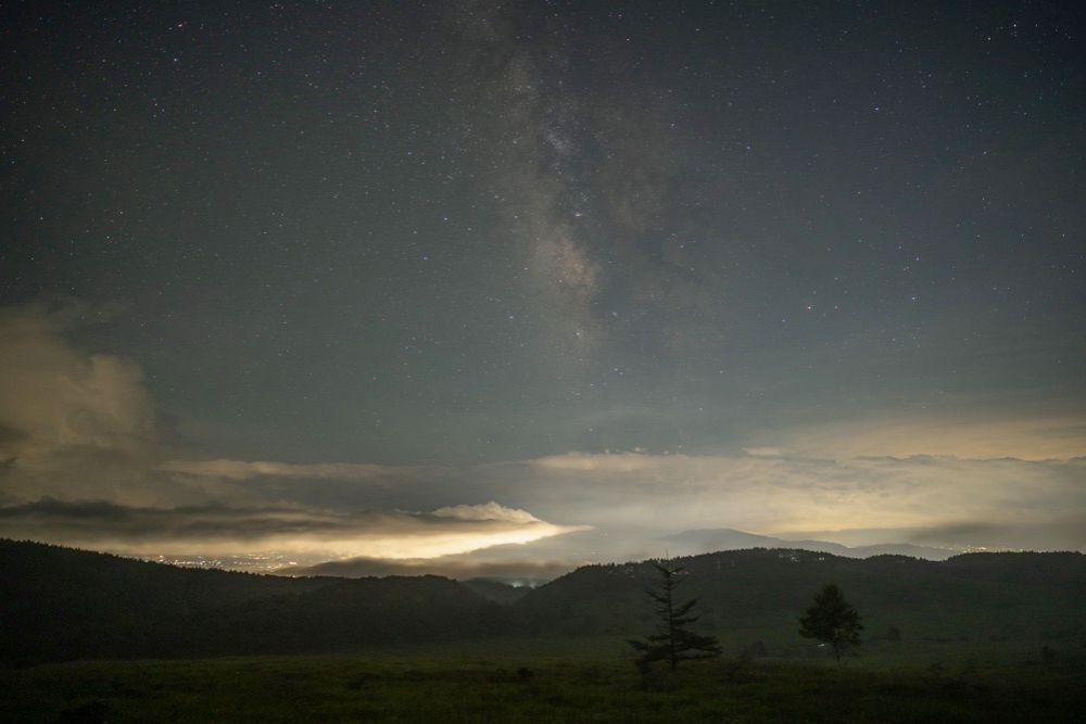 フィルターなし