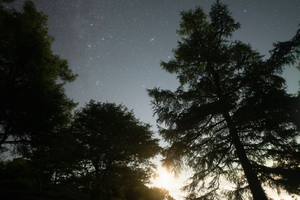 Anti-Fog ハーフプロソフトンクリア ＋ Anti-Fog スターリーナイト使用