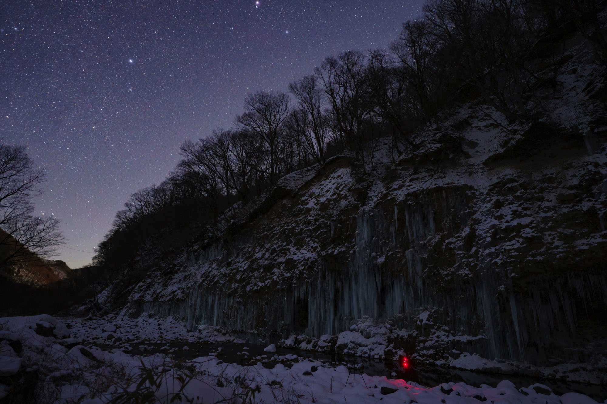 比較画像:フィルター未使用