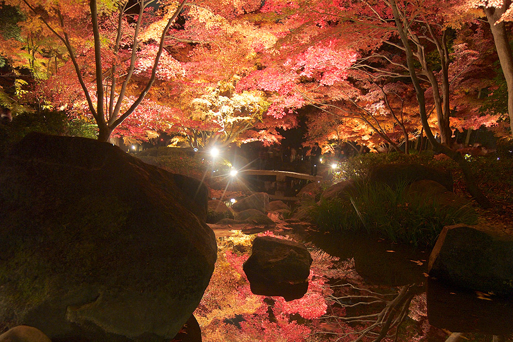 紅葉の撮影にオススメのフィルター ケンコー トキナー