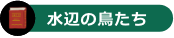 水辺にいる鳥たち