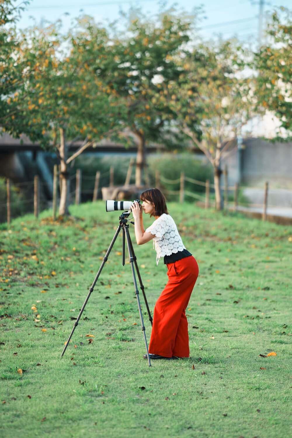 ライトカーボン E84 II 