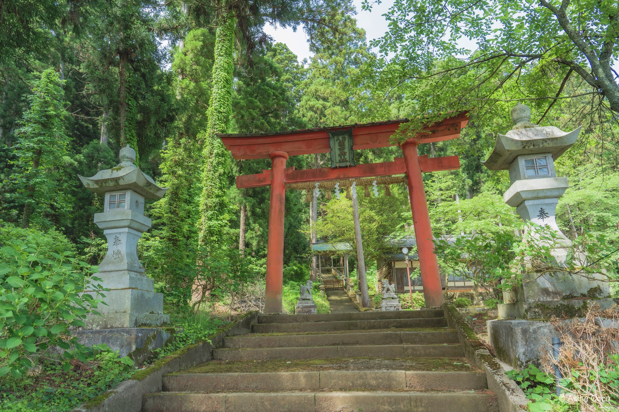 比較画像:NOSTALTONE GREEN使用