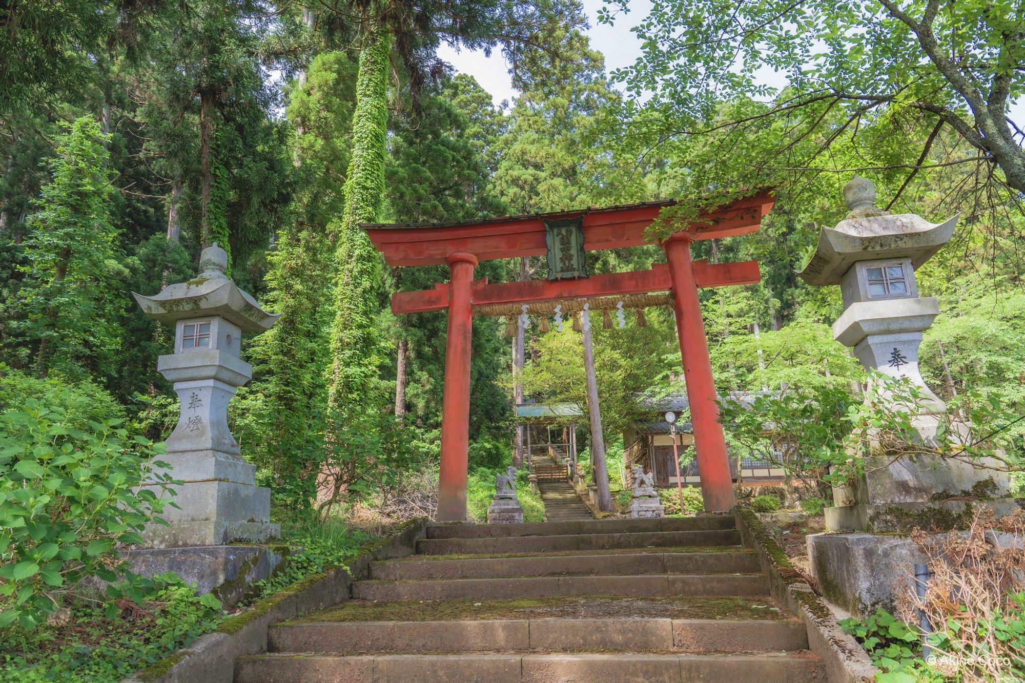 比較画像:フィルター未使用